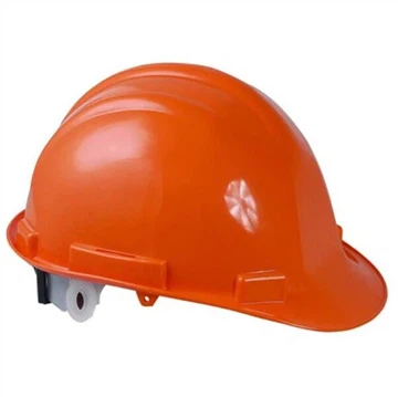 Everything You Need to Know About Wearing a Safety Helmet for Tree Work